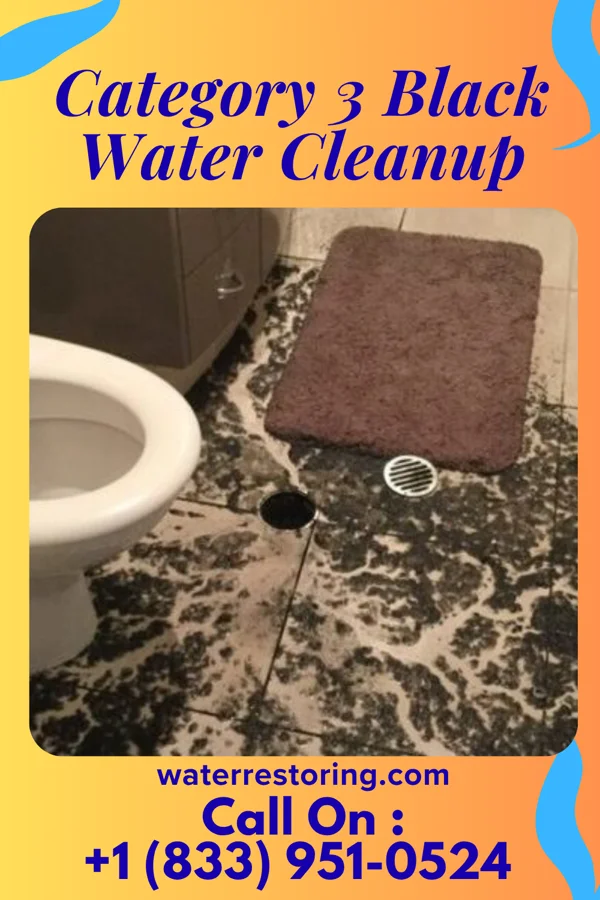 Category 3 Black Water Cleanup in Westport, OK